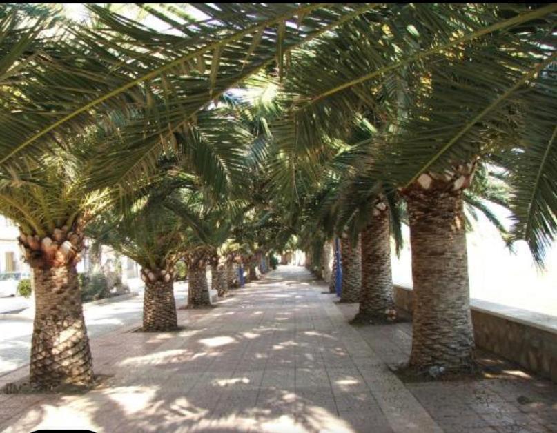Vcc Home'S El Puerto de Mazarrón Екстериор снимка